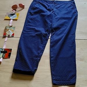 Polka Dot Talbots Weekend Chino